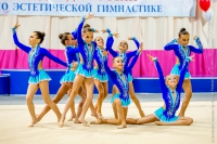 © ВФЭГ (RFAG)