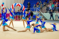 © ВФЭГ (RFAG)