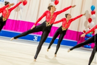 © ВФЭГ (RFAG)