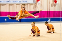 © ВФЭГ (RFAG)
