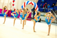 © ВФЭГ (RFAG)