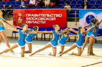 © ВФЭГ (RFAG)