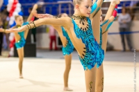 © ВФЭГ (RFAG)