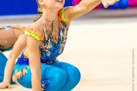 © ВФЭГ (RFAG)