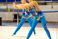 © ВФЭГ (RFAG)