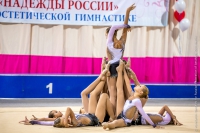 © ВФЭГ (RFAG)