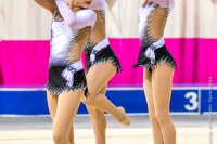 © ВФЭГ (RFAG)