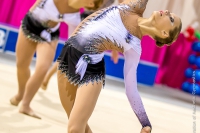 © ВФЭГ (RFAG)