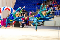 © ВФЭГ (RFAG)
