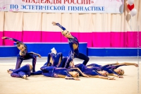 © ВФЭГ (RFAG)