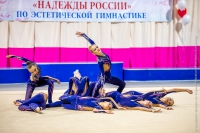 © ВФЭГ (RFAG)