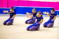 © ВФЭГ (RFAG)