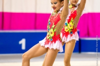 © ВФЭГ (RFAG)