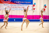 © ВФЭГ (RFAG)