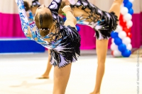 © ВФЭГ (RFAG)