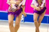 © ВФЭГ (RFAG)