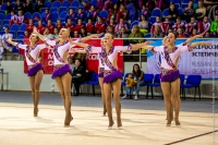 © ВФЭГ (RFAG)