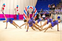 © ВФЭГ (RFAG)