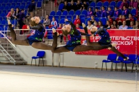 © ВФЭГ (RFAG)
