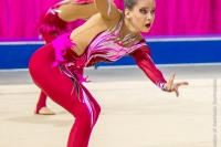 © ВФЭГ (RFAG)