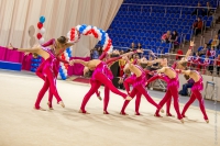 © ВФЭГ (RFAG)