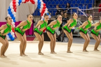 © ВФЭГ (RFAG)