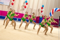 © ВФЭГ (RFAG)