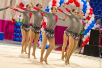 © ВФЭГ (RFAG)