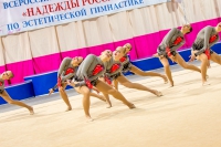© ВФЭГ (RFAG)