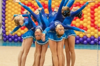 © ВФЭГ (RFAG)