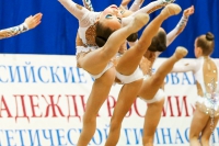 © ВФЭГ (RFAG)