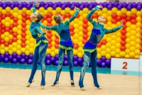 © ВФЭГ (RFAG)