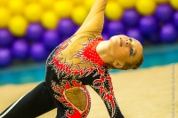 © ВФЭГ (RFAG)