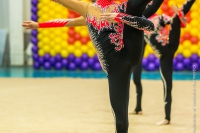© ВФЭГ (RFAG)