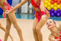© ВФЭГ (RFAG)