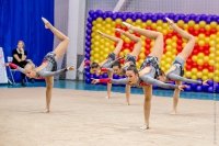 © ВФЭГ (RFAG)
