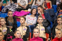 © ВФЭГ (RFAG)