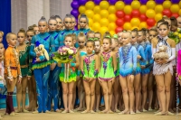 © ВФЭГ (RFAG)