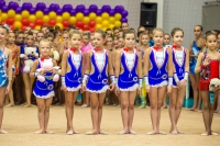 © ВФЭГ (RFAG)