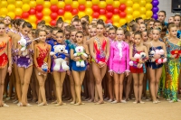 © ВФЭГ (RFAG)