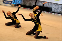 © ВФЭГ (RFAG)
