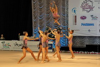 © ВФЭГ (RFAG)