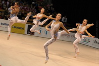 © ВФЭГ (RFAG)