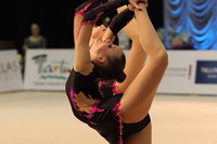 © ВФЭГ (RFAG)