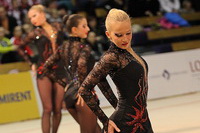 © ВФЭГ (RFAG)