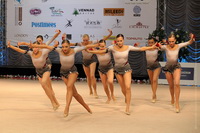 © ВФЭГ (RFAG)