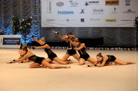 © ВФЭГ (RFAG)