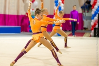 © ВФЭГ (RFAG)