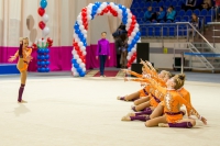 © ВФЭГ (RFAG)