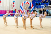 © ВФЭГ (RFAG)
